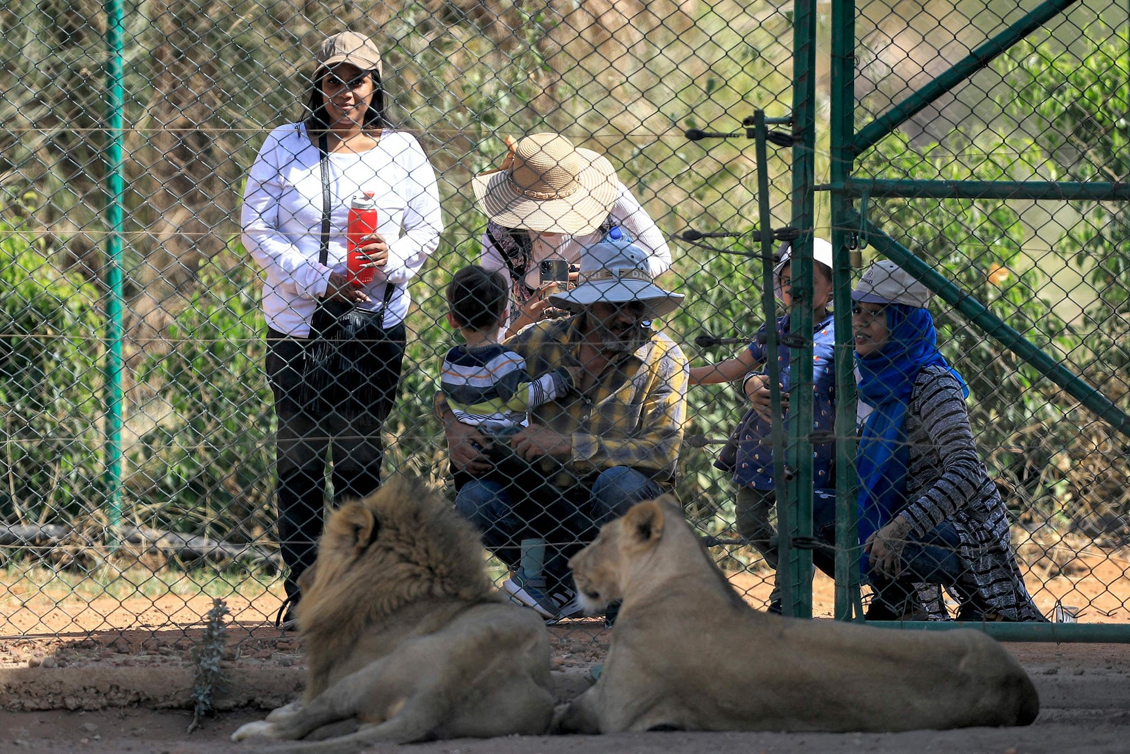 Visitors sit behind the fence of a lion enclosure at the Sudan Animal Rescue center in al-Bageir, south of the capital Khartoum, Sudan, Feb.  28, 2022. (AFP Photo)