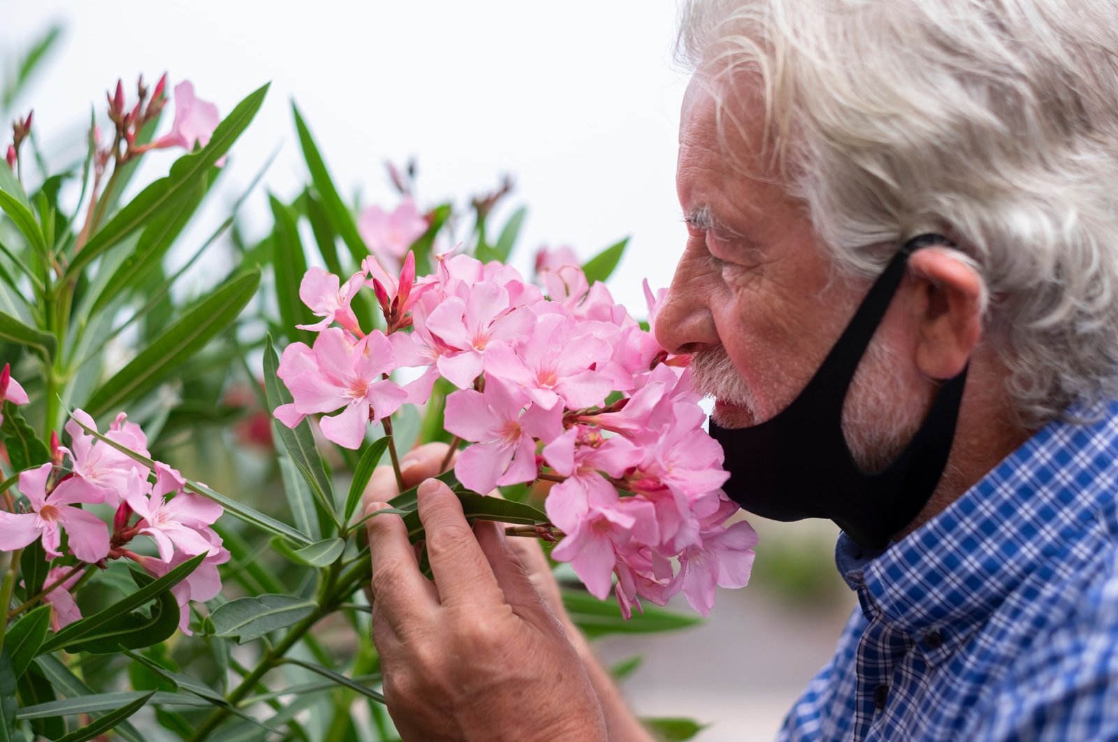 Some COVID-19 patients suffer from loss of smell and require months of therapy to reacquire the sense, according to experts. (Shutterstock Photo)
