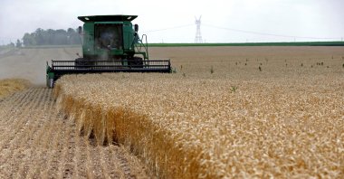  A combine drives over stalks of soft red winter wheat during the harvest on a farm in Dixon, Illinois, July 16, 2013. (Reuters Photo)