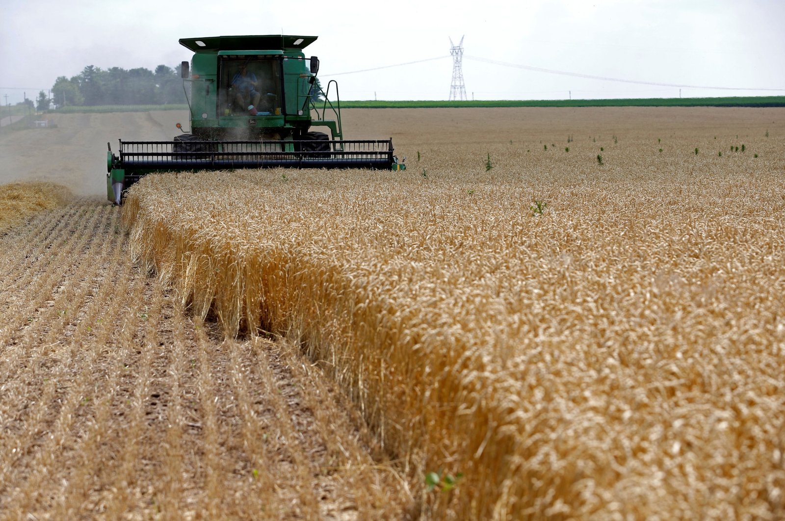  A combine drives over stalks of soft red winter wheat during the harvest on a farm in Dixon, Illinois, July 16, 2013. (Reuters Photo)