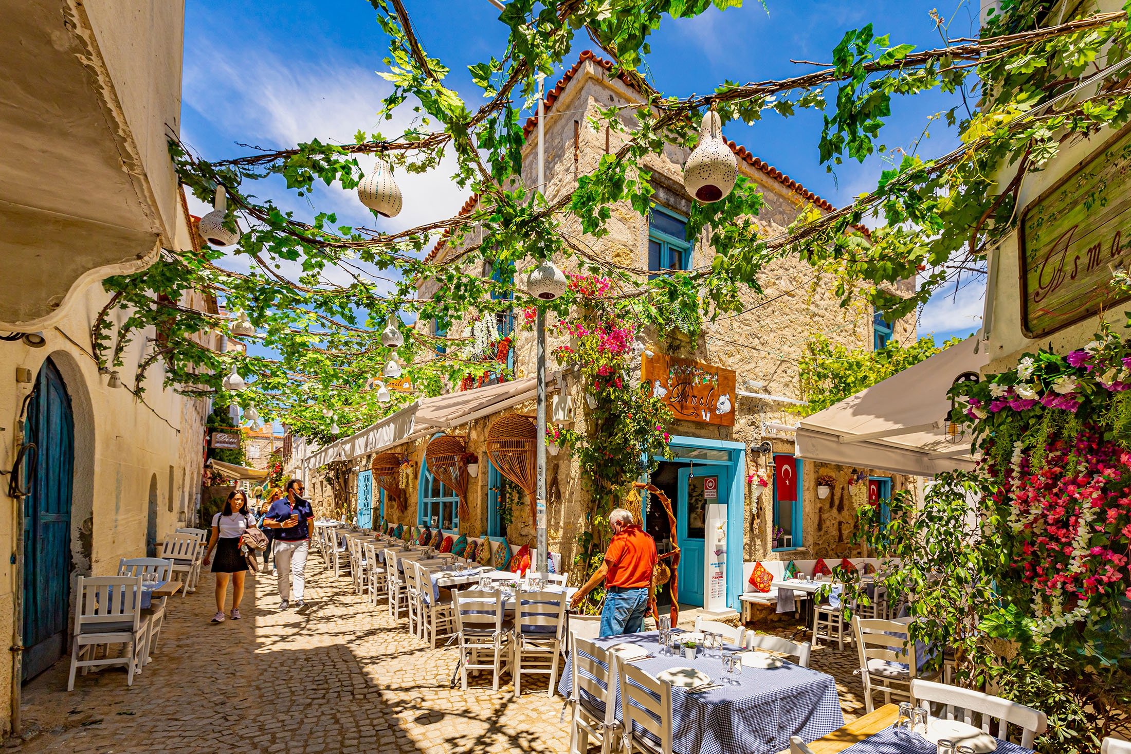 Türkiye'nin batısında, İzmir'de Alaçatı'nın Çeşme ilçesinde güzel bir sokak, 2 Haziran 2021 (Shutterstock Fotoğraf)