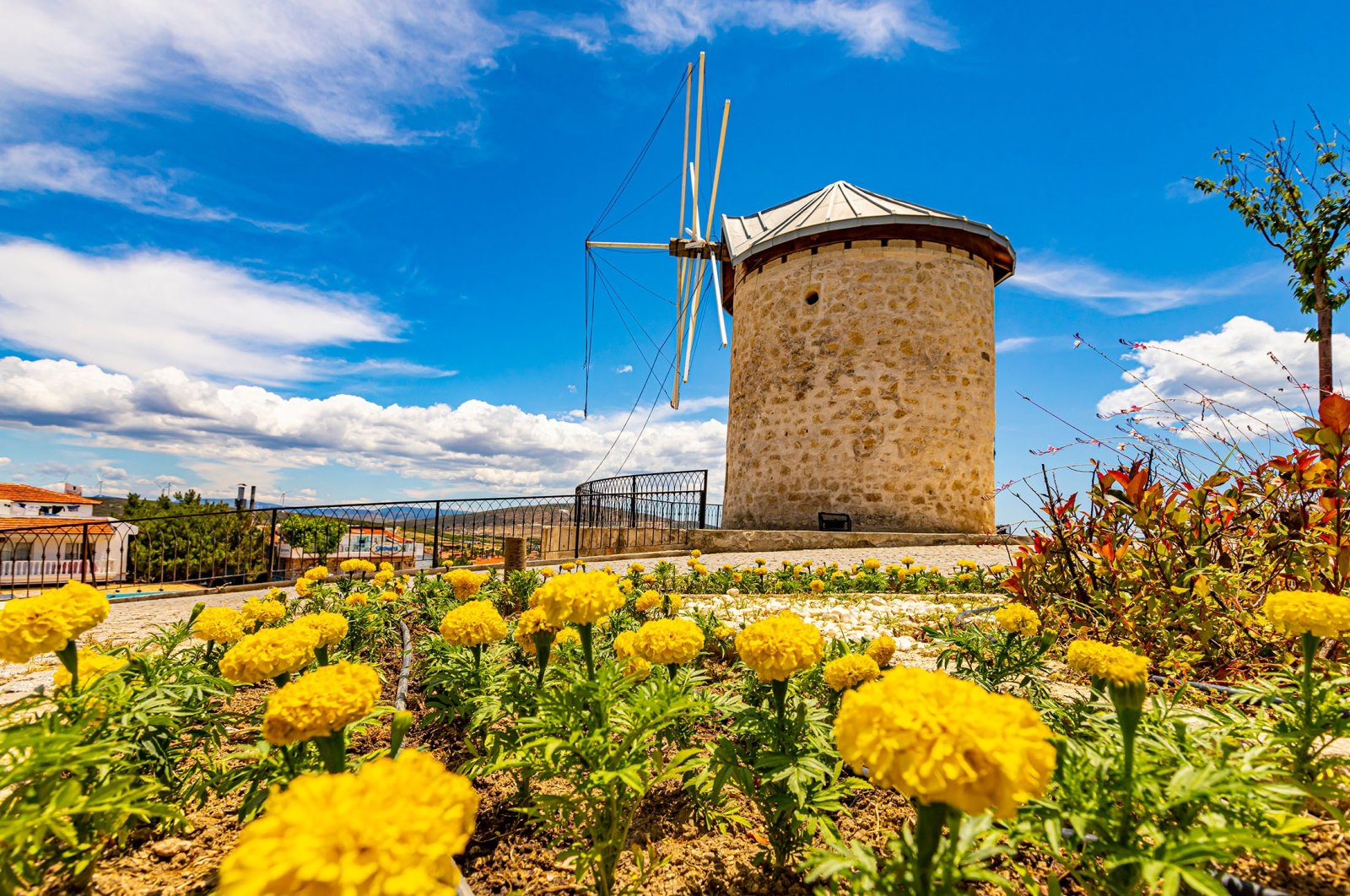 Windmills shine in the sun in Alaçatı town of Çeşme, in Izmir, western Turkey, June 2, 2021. (Shutterstock Photo)