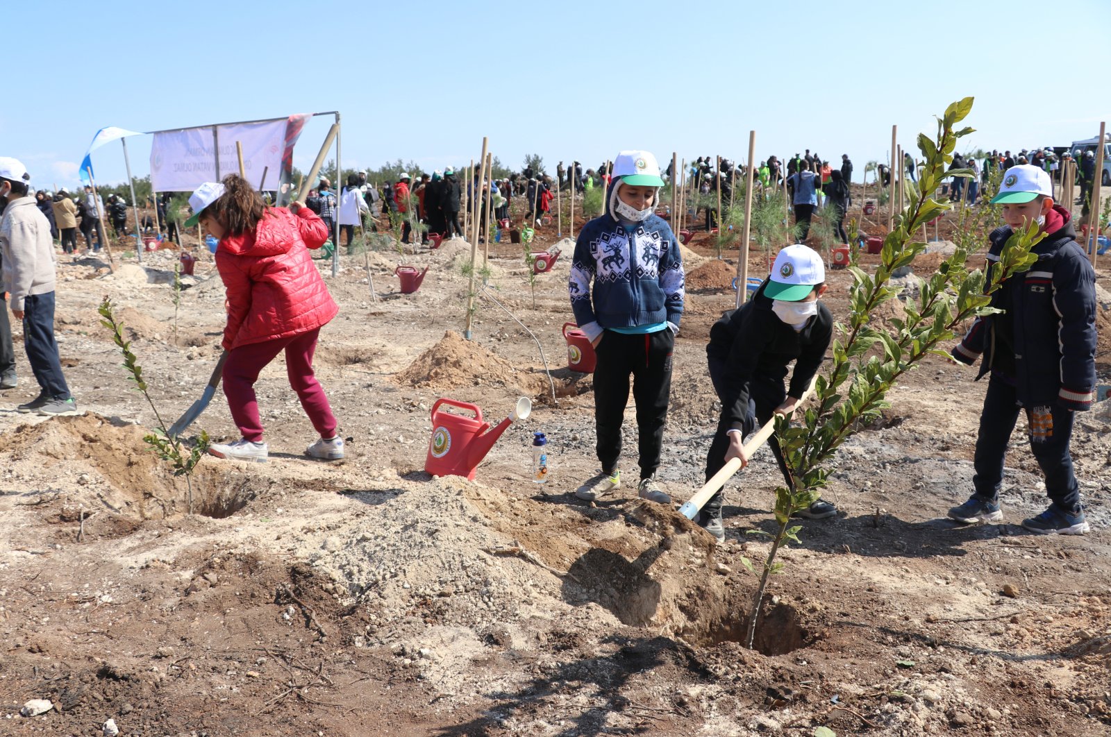 Children plant saplings in a forest burned last year in Adana, southern Turkey, March 22, 2022. (AA PHOTO)