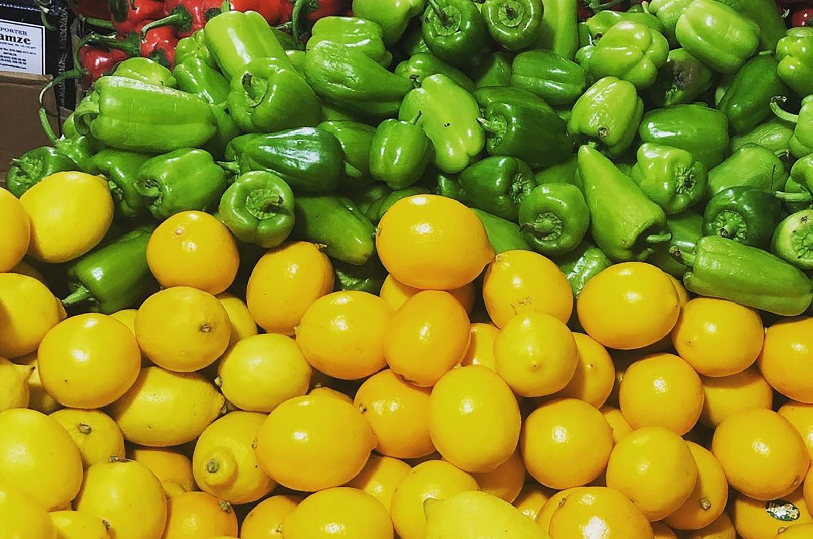 Vegetables can be seen on a stand at greengrocer Umut, in Istanbul, Turkey. (From Instagram / @umutsarkuteri)