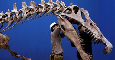 Workers adjust a Spinosaurus skeleton replica during a preparation and media preview for the Dinosaur EXPO at the National Museum of Nature and Science in Tokyo, Japan, March 1, 2016. (Reuters Photo)