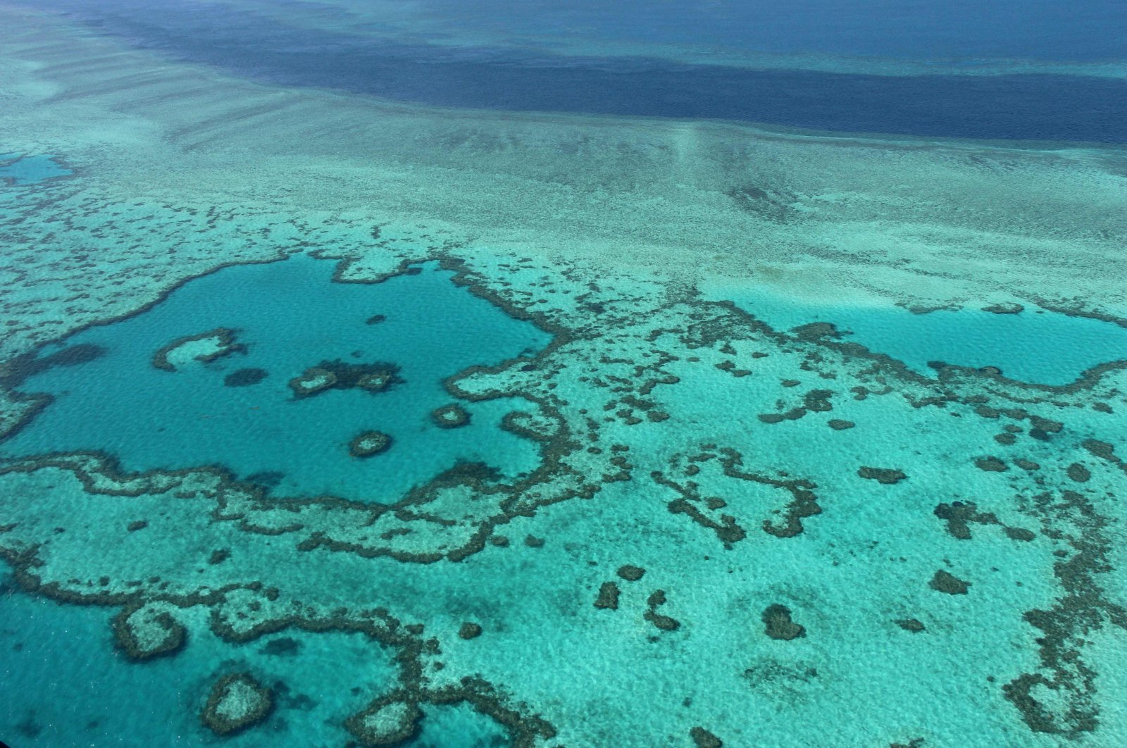 Great Barrier Reef Australia mengalami ‘pemutihan massal’ lagi