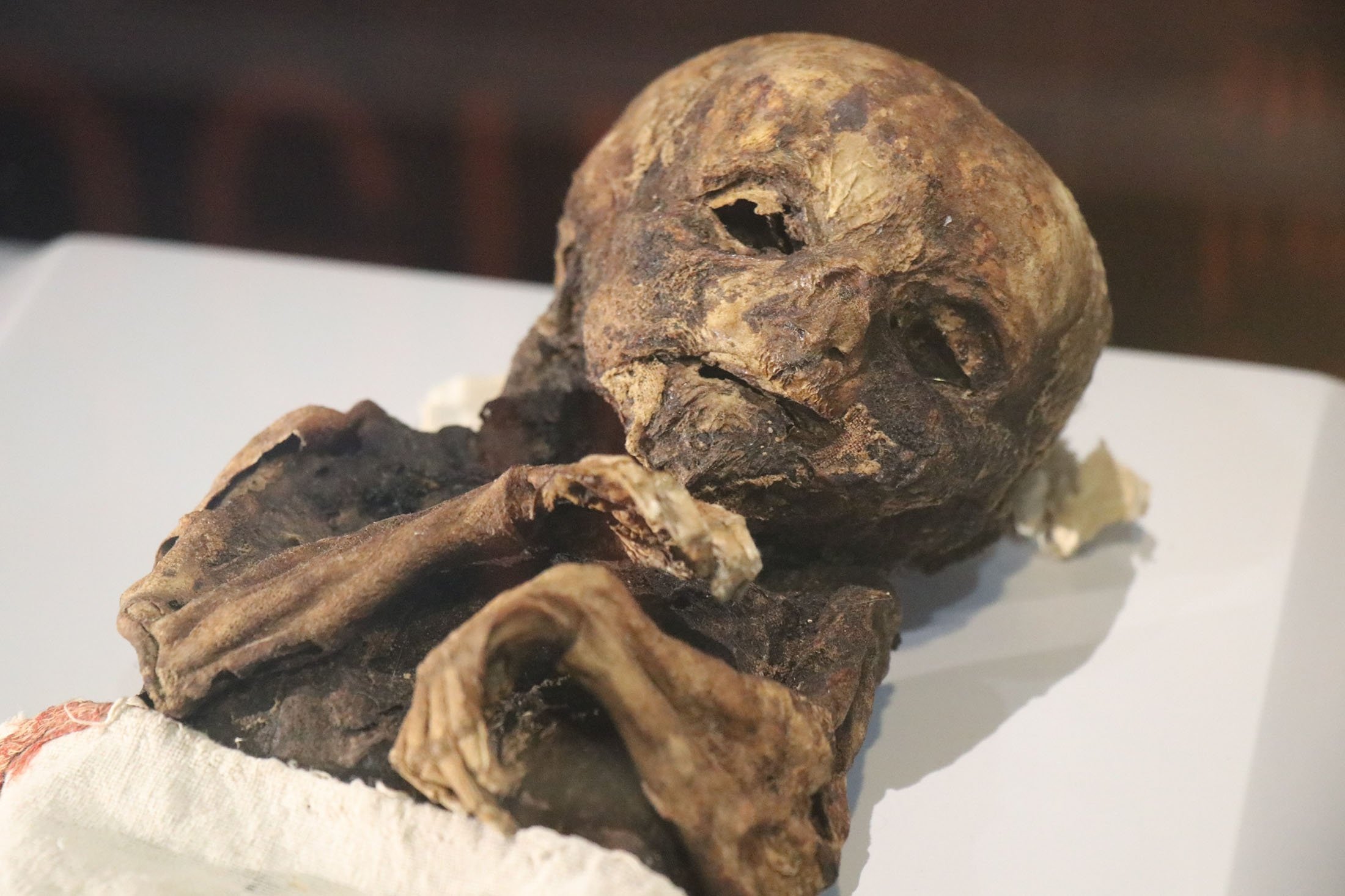 A mummy of a baby displayed at the Aksaray Museum, in Aksaray, Turkey, March 27, 2022. (IHA Photo)