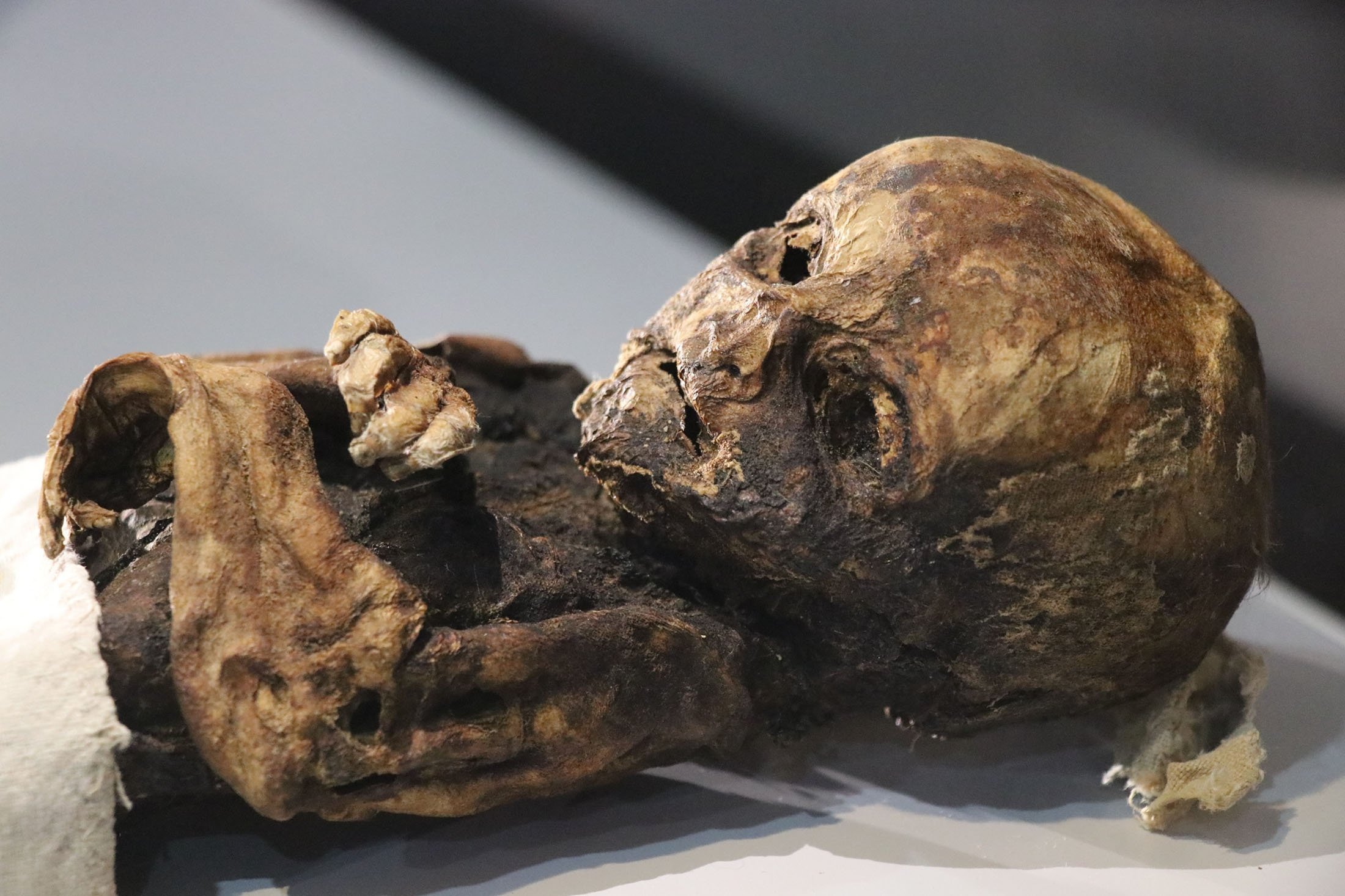 A mummy of a baby displayed at the Aksaray Museum, in Aksaray, Turkey, March 27, 2022. (IHA Photo)