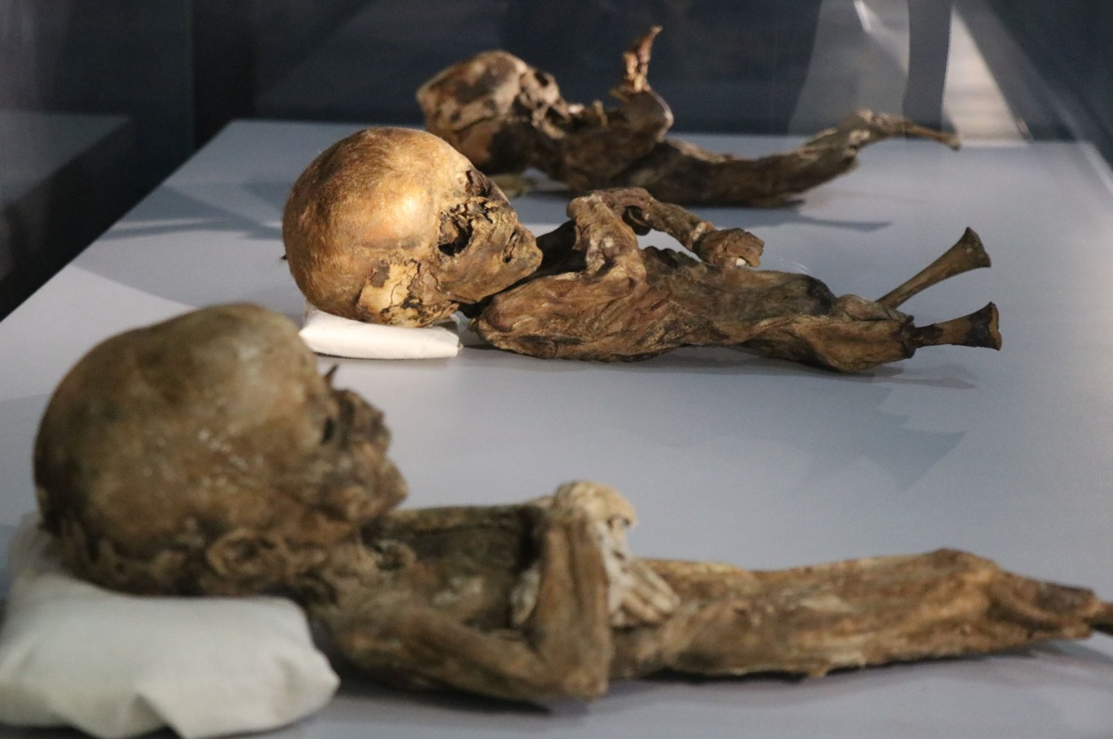 Mummies of babies displayed at the Aksaray Museum, in Aksaray, Turkey, March 27, 2022. (IHA Photo)