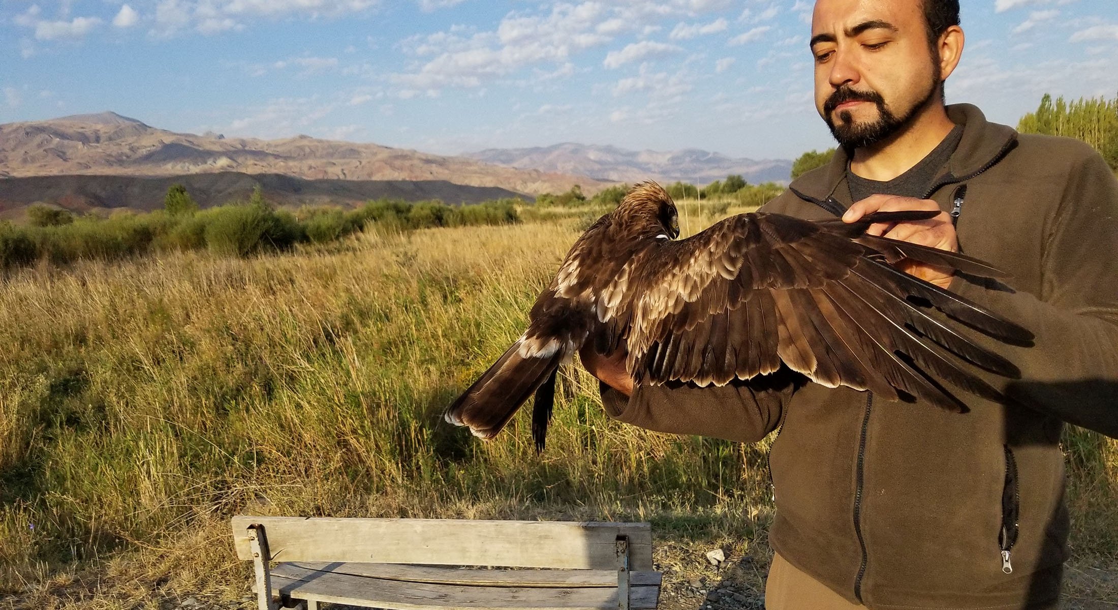 Seekor elang boot terlihat di Aras Bird Research Center, di Iğdır, Turki, dalam foto yang diperoleh pada 29 Maret 2022. (AA Photo)