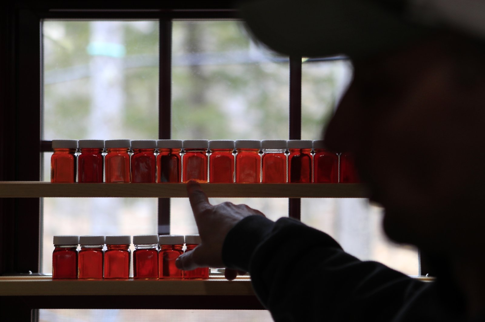 A man shows a visitor the different grades of maple syrup produced this season at the Dunn Family Maple sugar house in Buxton, Maine, U.S., April 1, 2020. (AP Photo)