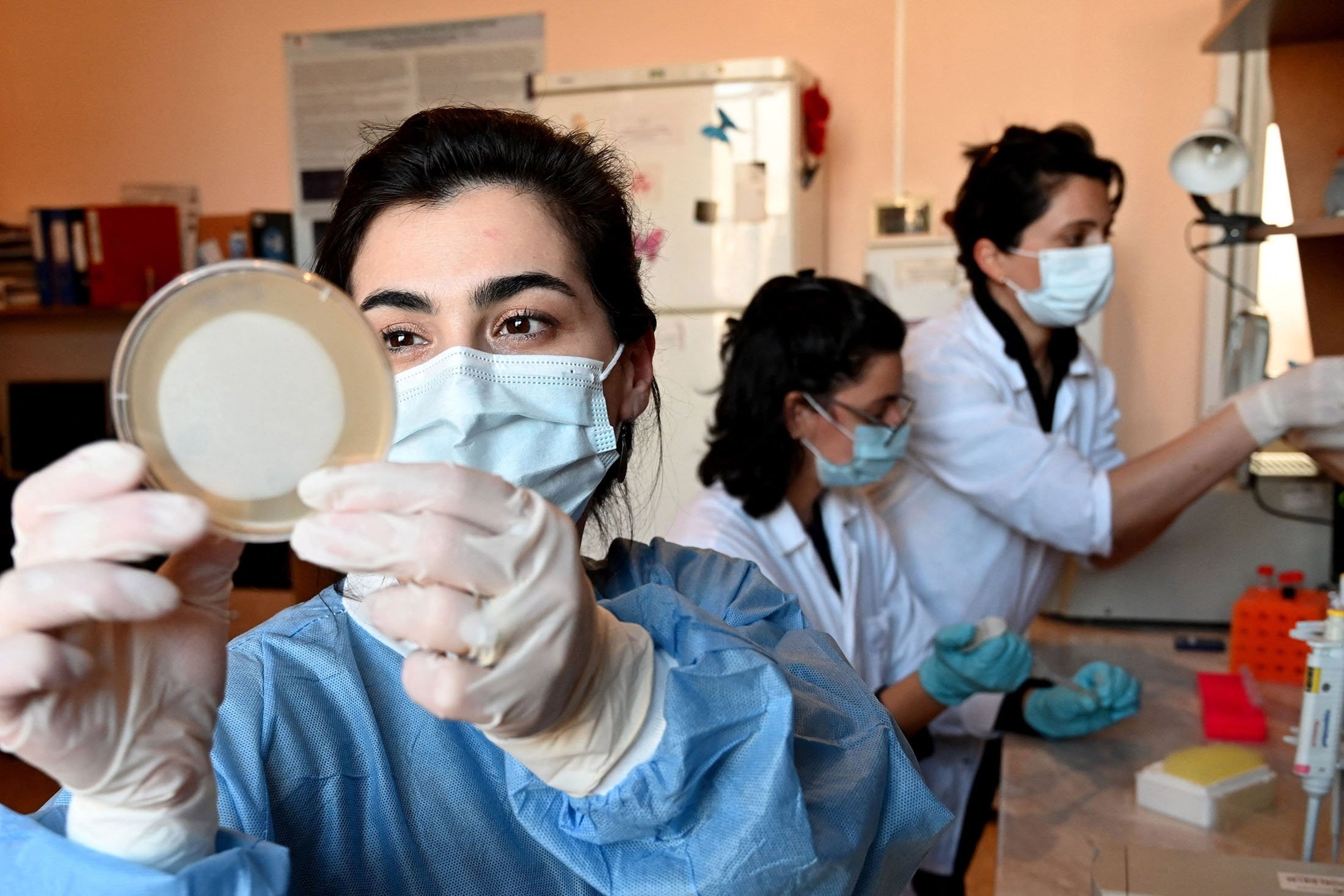 Para peneliti bekerja di laboratorium Institut Bakteriofag Eliava di Tbilisi, Georgia, 24 Februari 2022. (Foto AFP)