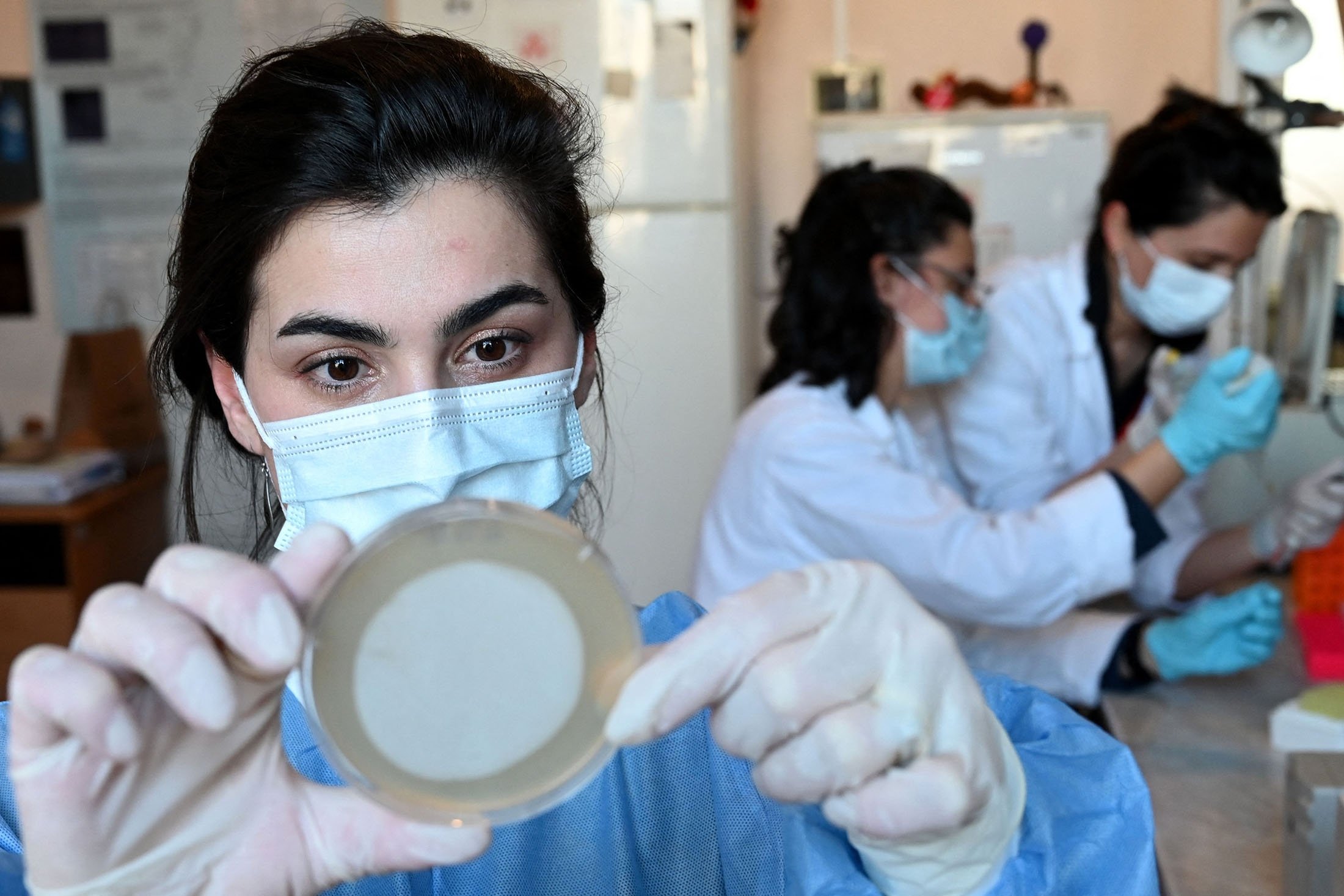 Para peneliti bekerja di laboratorium Institut Bakteriofag Eliava di Tbilisi, Georgia, 24 Februari 2022. (Foto AFP)