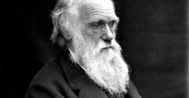 A portrait of Charles Darwin taken in 1878. (Alamy via Reuters)