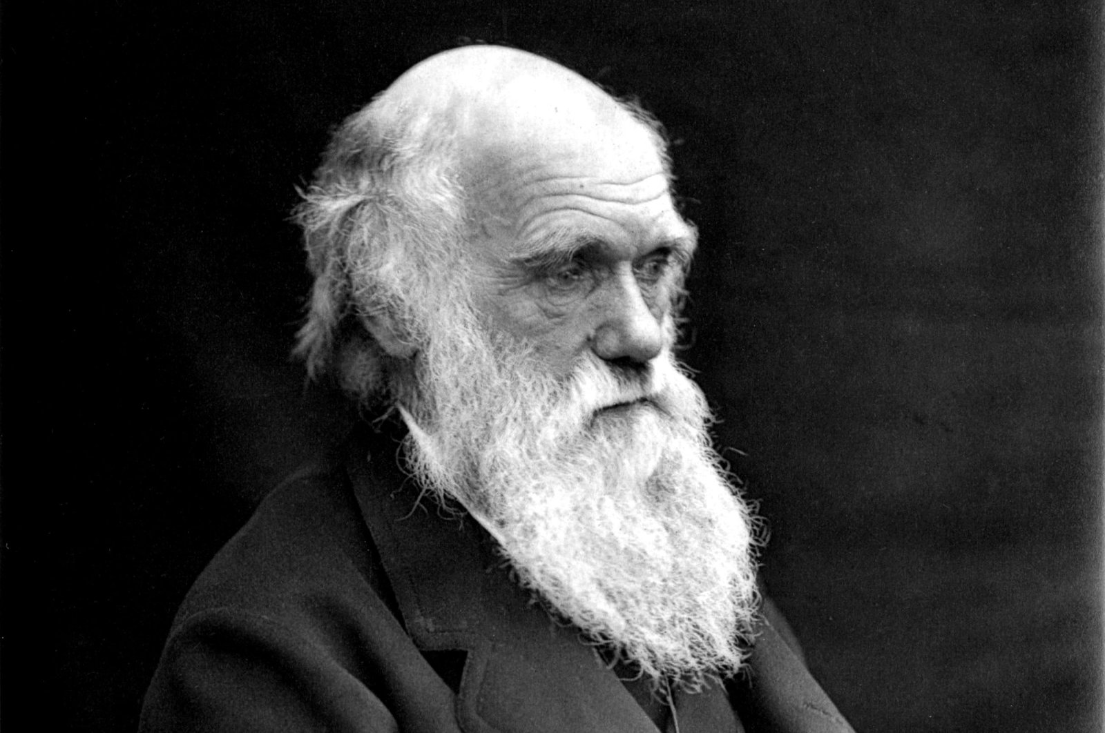 Buku catatan Darwin yang hilang dikembalikan ke Cambridge setelah 20 tahun