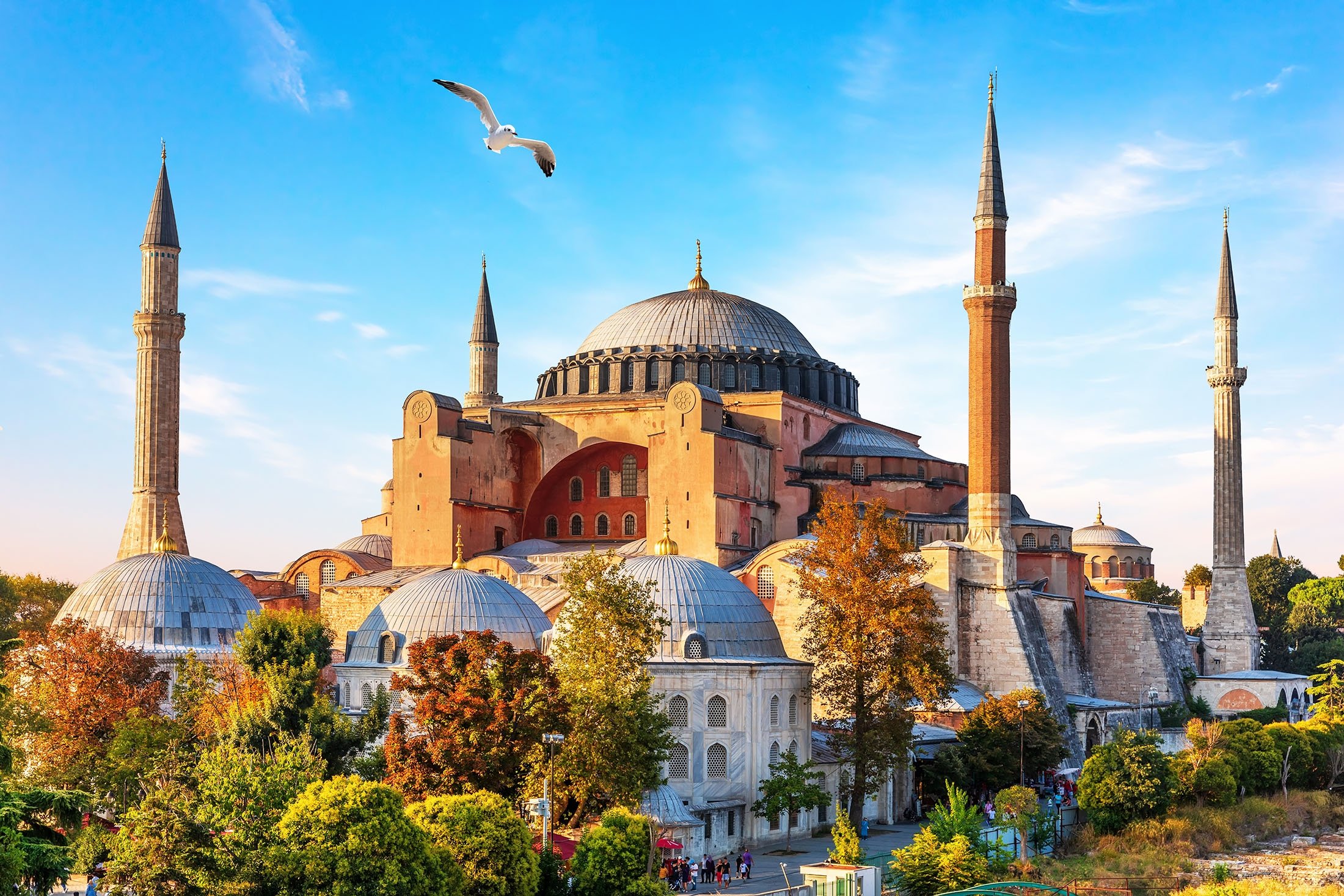 A seagull flies by the historical Hagia Sophia Mosque, in Istanbul, Turkey. (Shutterstock Photo)