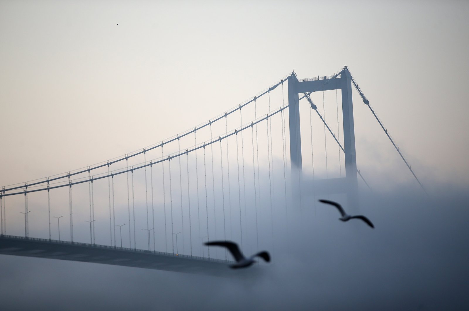 Kabut menutupi kota terbesar di Turki, Istanbul