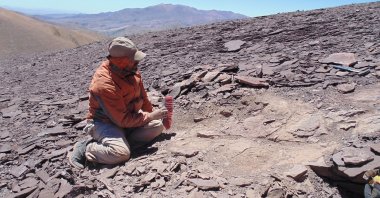 A palaeontologist works at the place where pterosaur fossils were found at "Tormento" hill in the Atacama desert at Atacama region, Chile. (Reuters Photo)