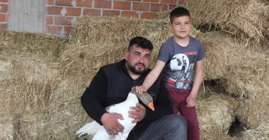 Paşa sits on his owner Mustafa Zehir's lap, in Manisa, Turkey, April 6, 2022. (IHA PHOTO)