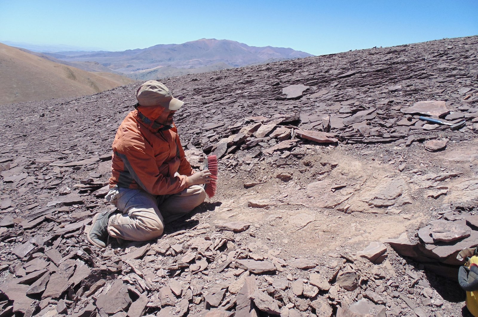 A palaeontologist works at the place where pterosaur fossils were found at &quot;Tormento&quot; hill in the Atacama desert at Atacama region, Chile. (Reuters Photo)