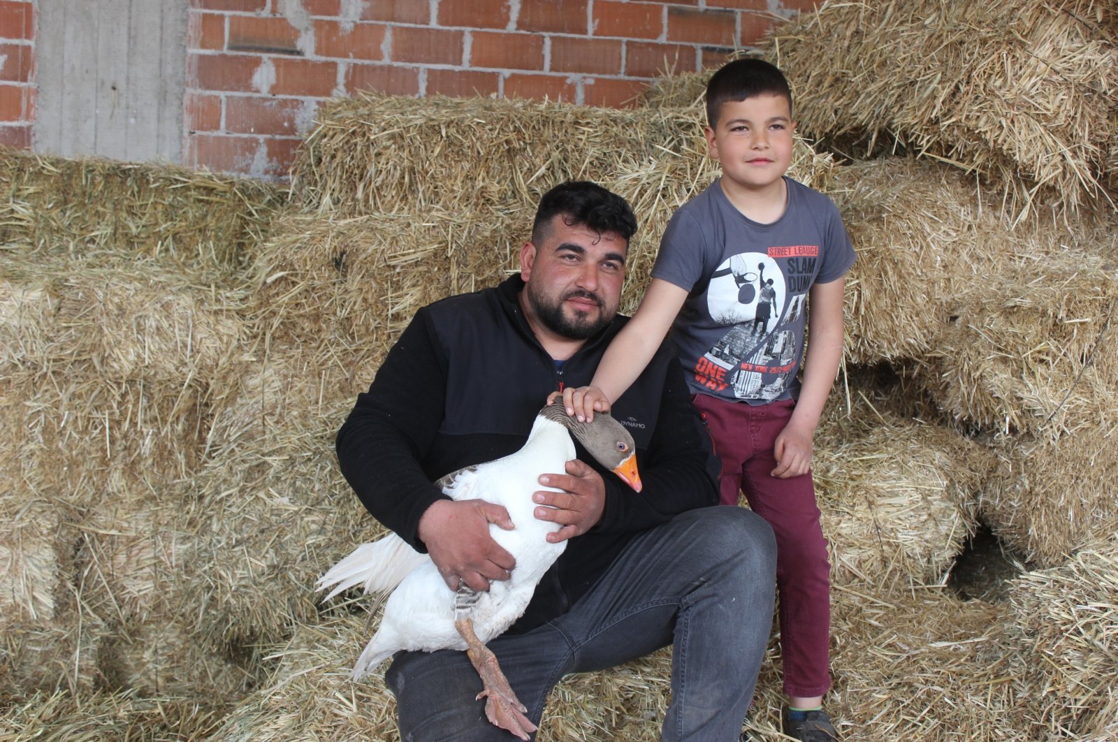 Seperti 2 kacang polong dalam polong: Petani Turki menemukan teman dalam angsa