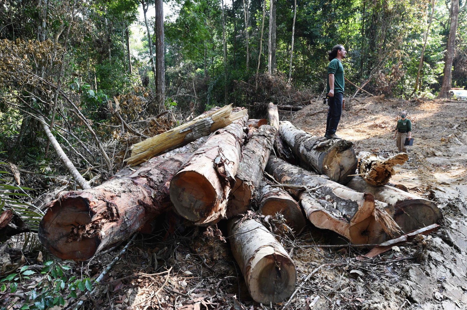 Officials from Para State, northern Brazil, inspect a deforested area in the Amazon rain forest during surveillance in the municipality of Pacaja, Brazil, Sept. 22, 2021. (AFP Photo)
