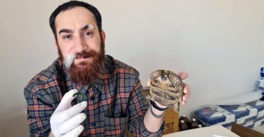 Hasan Kızıl with the injured turtle, Derik, Mardin, Turkey, April 9, 2022. (DHA Photo)