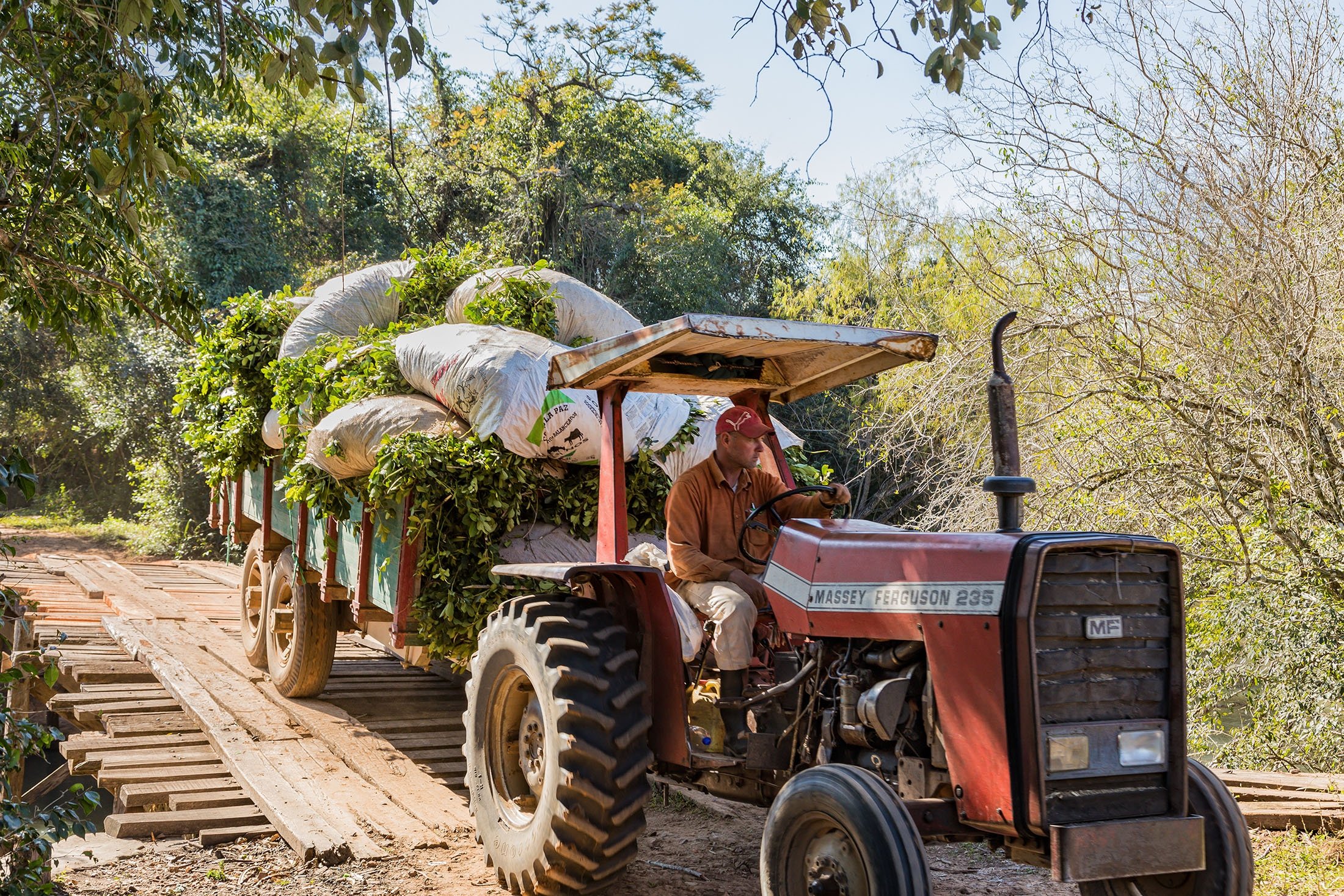 A farmer drives a tractor over a winding wooden bridge, in Colonia Independencia, Paraguay, June 20, 2018. (Shutterstock Photo)