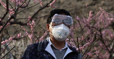 A man wearing protective glasses and a face mask looks on under blooming plum blossoms in Beijing, China, March 28, 2022. (Reuters Photo)