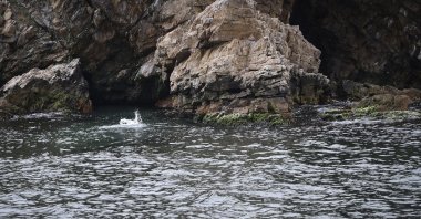 A view of the entrance of the cave, in Istanbul, Turkey, April 10, 2022. (AA PHOTO)
