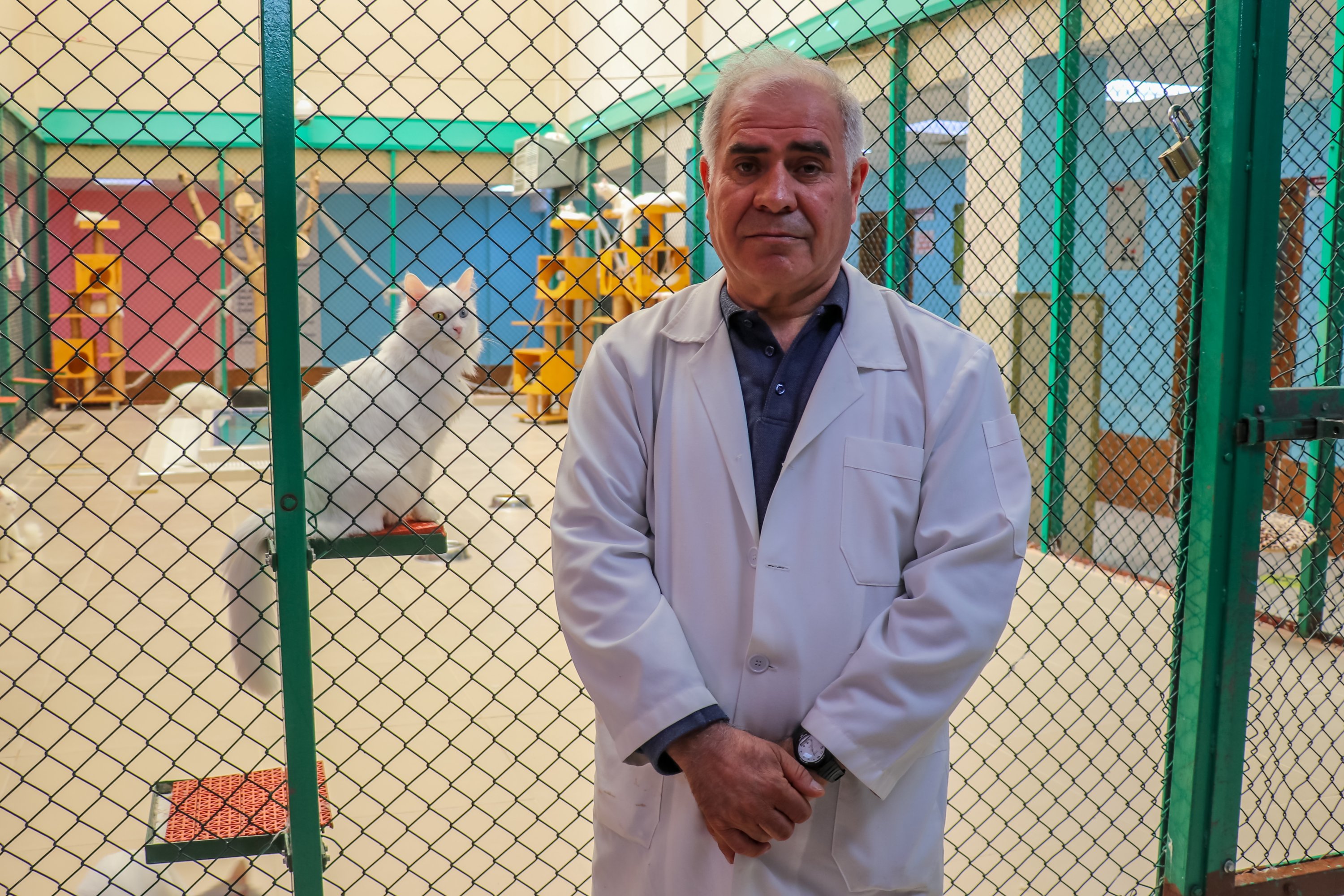 Director of the Van Cat Research and Application Center, Abdullah Kaya, Van, Turkey, April 5, 2022. (AA Photo)