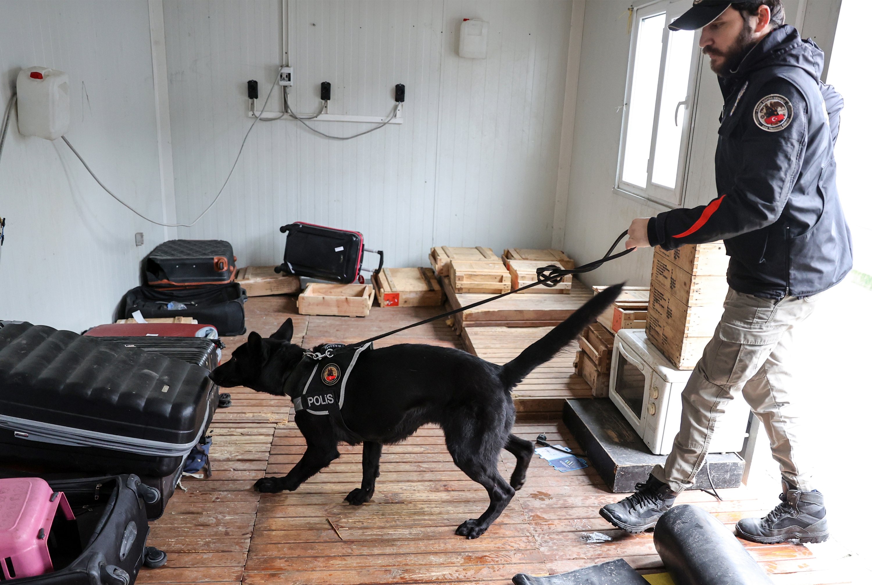 Seekor anjing antinarkoba mencari narkoba dalam sesi pelatihan, di Istanbul, Turki, 14 April 2022. (AA PHOTO)