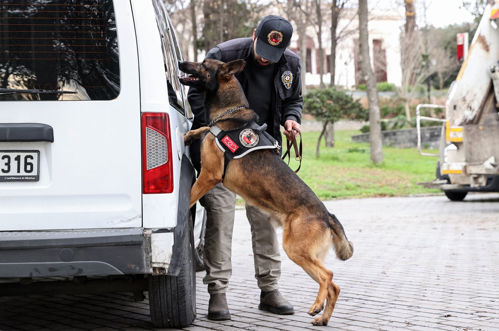 Anjing tetap menjadi mitra utama polisi Turki dalam memerangi kejahatan