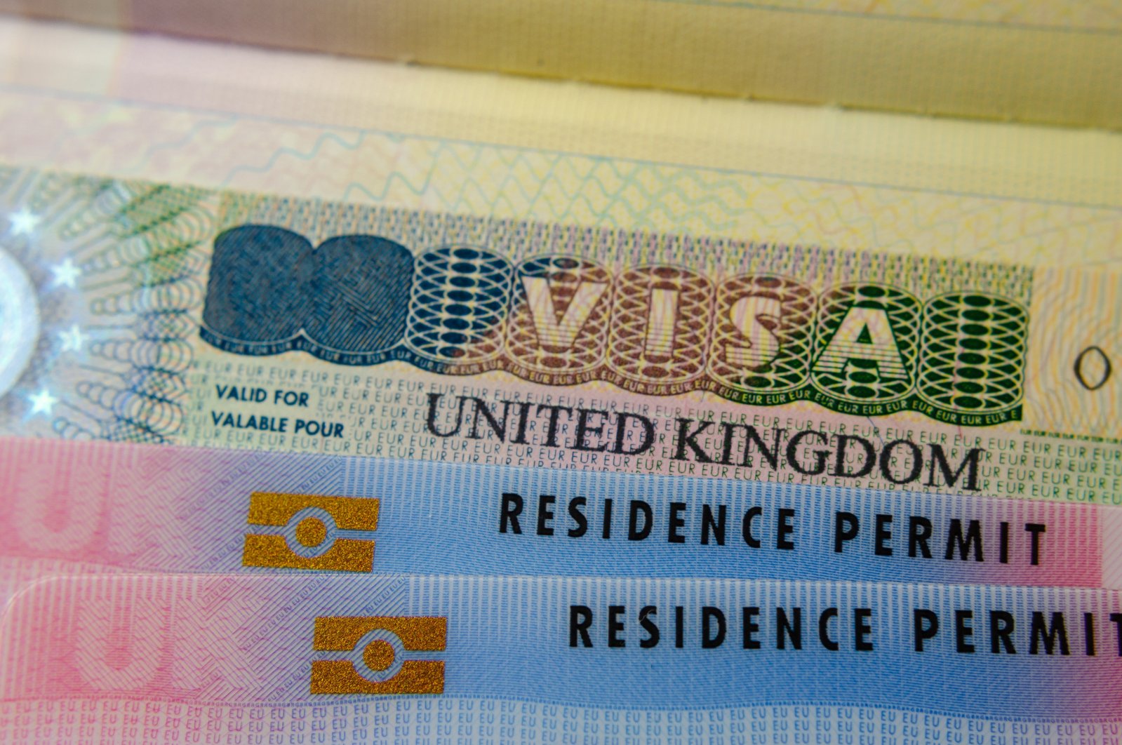Wanita Ukraina diberikan visa Inggris setelah mogok makan 12 hari teman Inggris