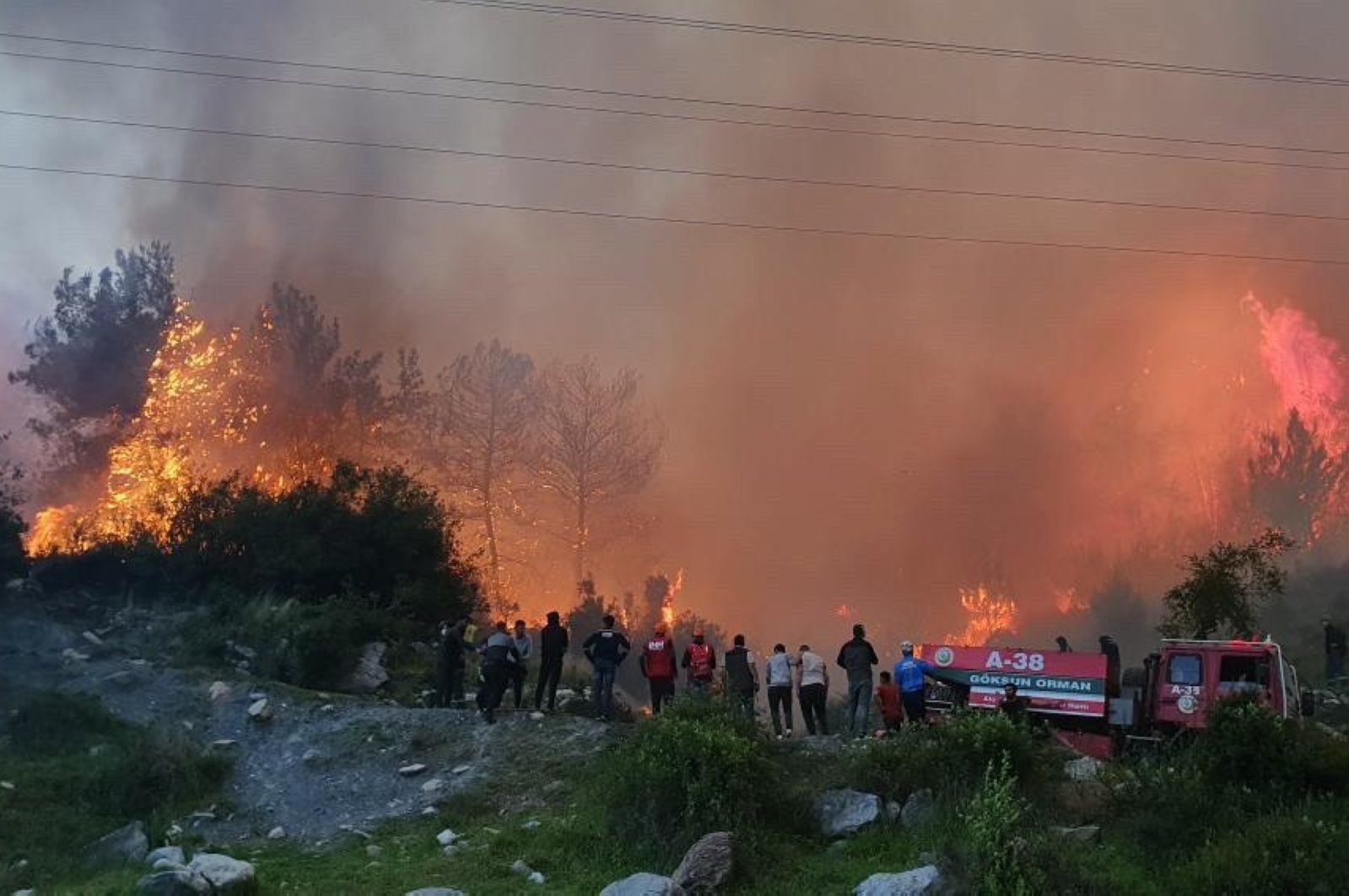 Kebakaran hutan mencengkeram hutan di Hatay . Turki selatan