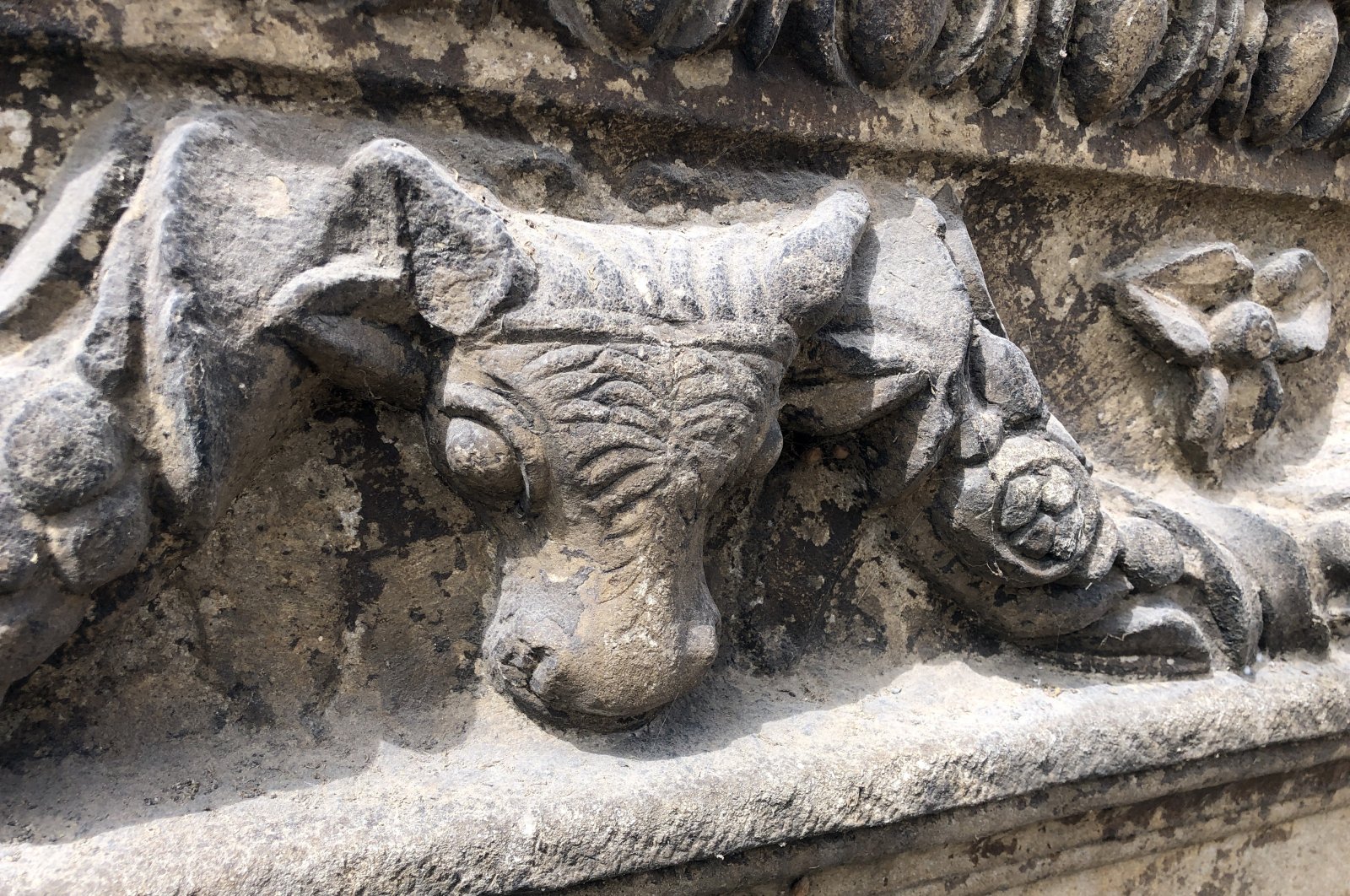 Bulls head motif revealed at the Sinop Castle, Sinop, Turkey, April 19, 2022. (IHA Photo)