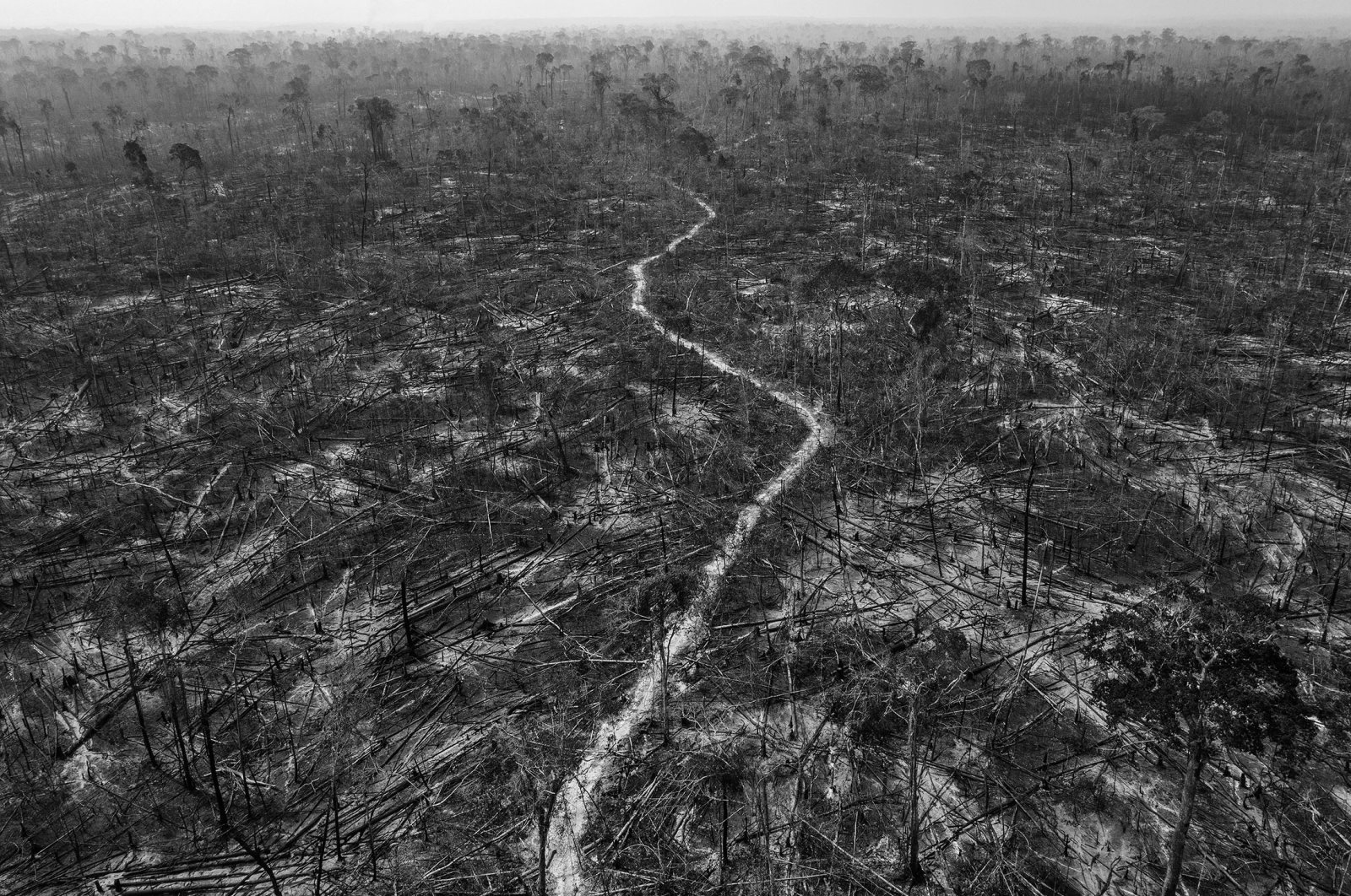 Massive deforestation can be seen in Apui, a municipality along the Trans-Amazonian Highway, southern Amazon, Brazil, Aug. 24, 2020. (AP Photo)