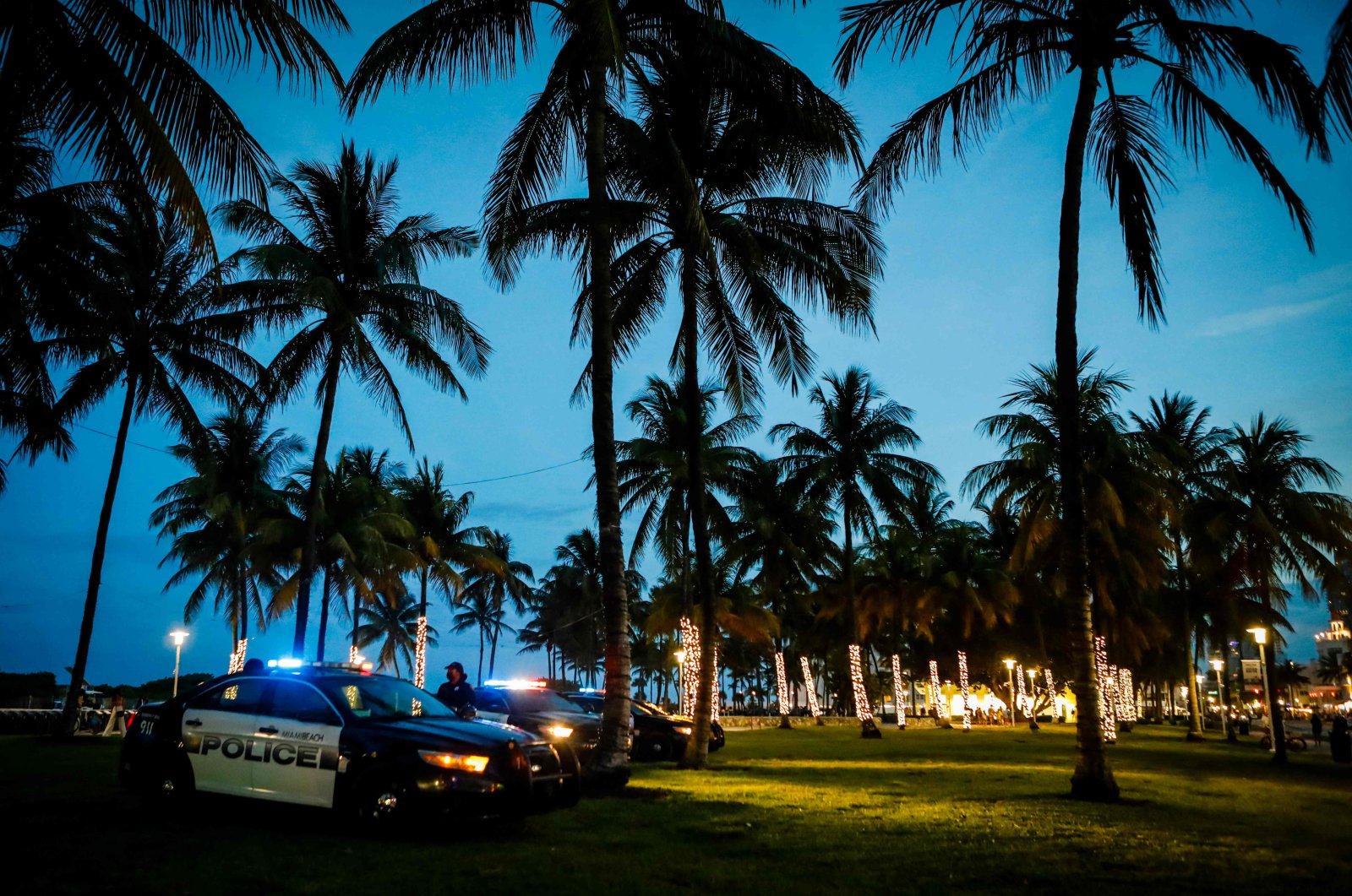 A view of palm trees and lawn, with police cars in the foreground, at the seaside on Ocean Drive in Miami Beach, Florida, U.S., March 24, 2022. (AFP File Photo)