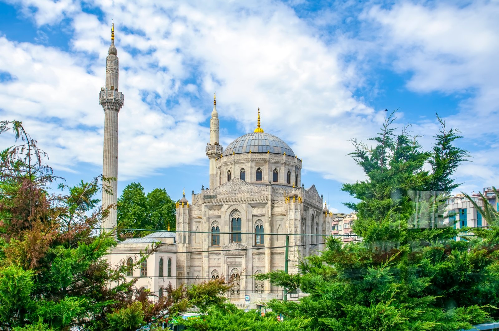 Trees with the Pertevniyal Valide Sultan Mosque, Aksaray, Istanbul. (Shutterstock)