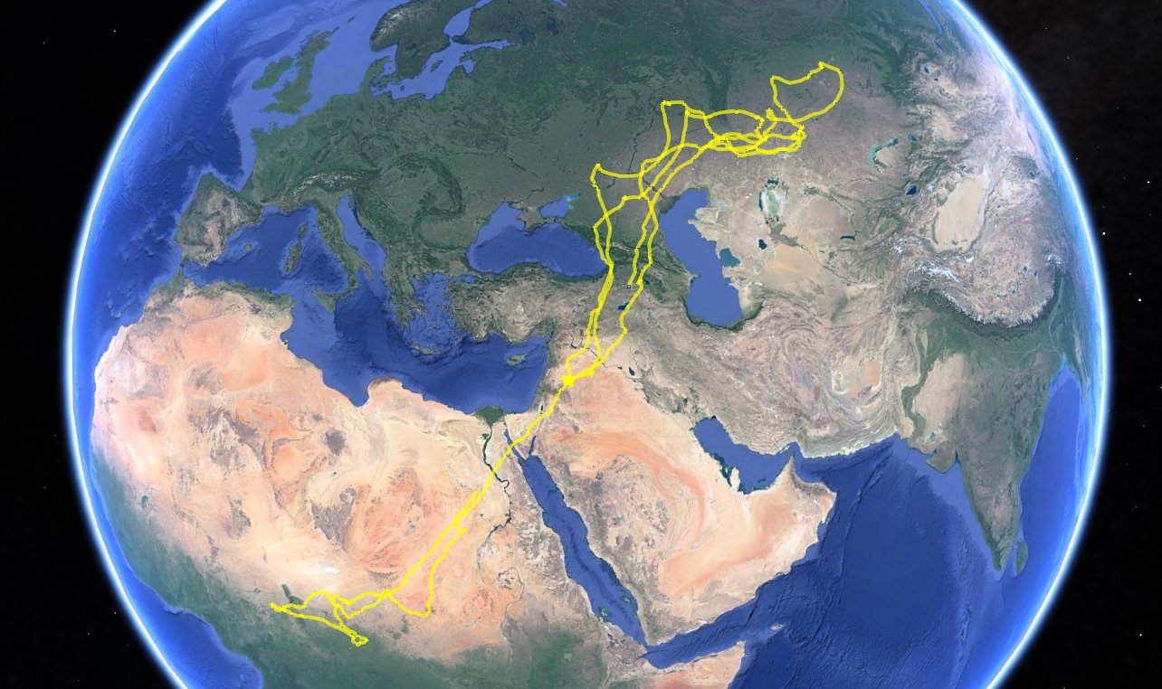 Peta yang menunjukkan pergerakan ekstensif burung.  (Foto AA)