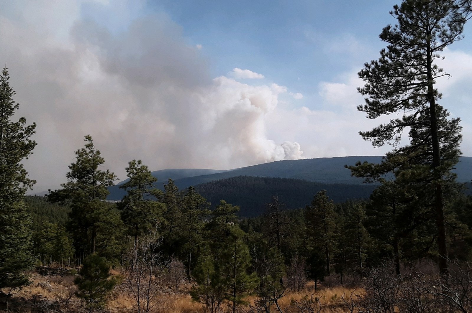 Berjuang melawan kebakaran hutan AS membuat kemajuan saat angin berbahaya berakhir