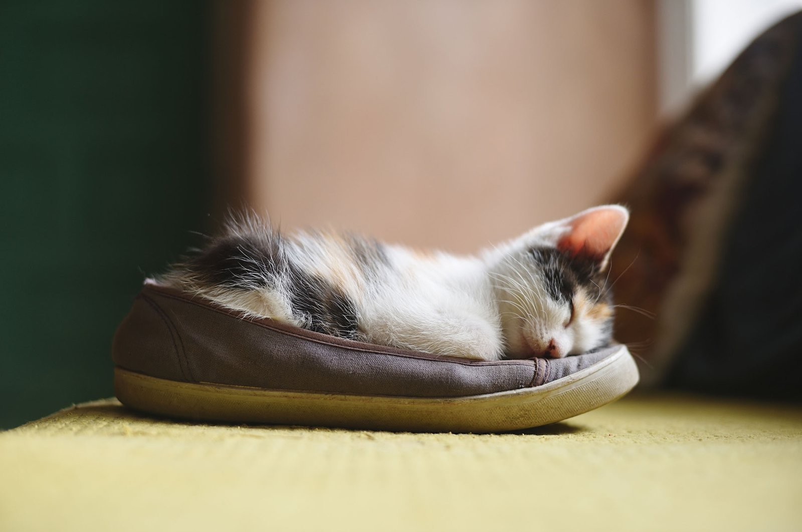 Sleeping right is essential for a healthy lifestyle. (Shutterstock Photo)