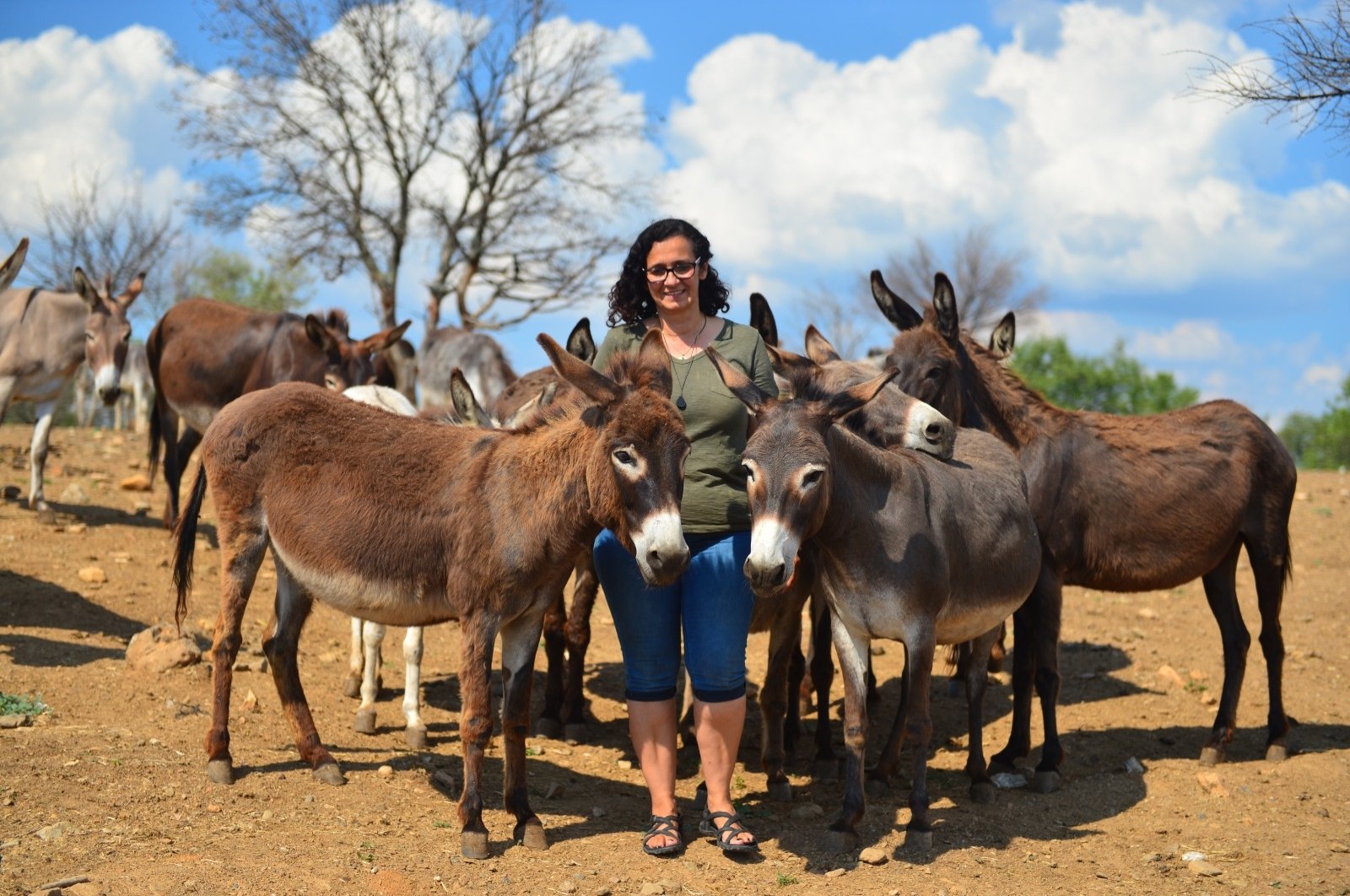 Wanita Turki memberi keledai tua kesempatan baru untuk hidup di pertaniannya