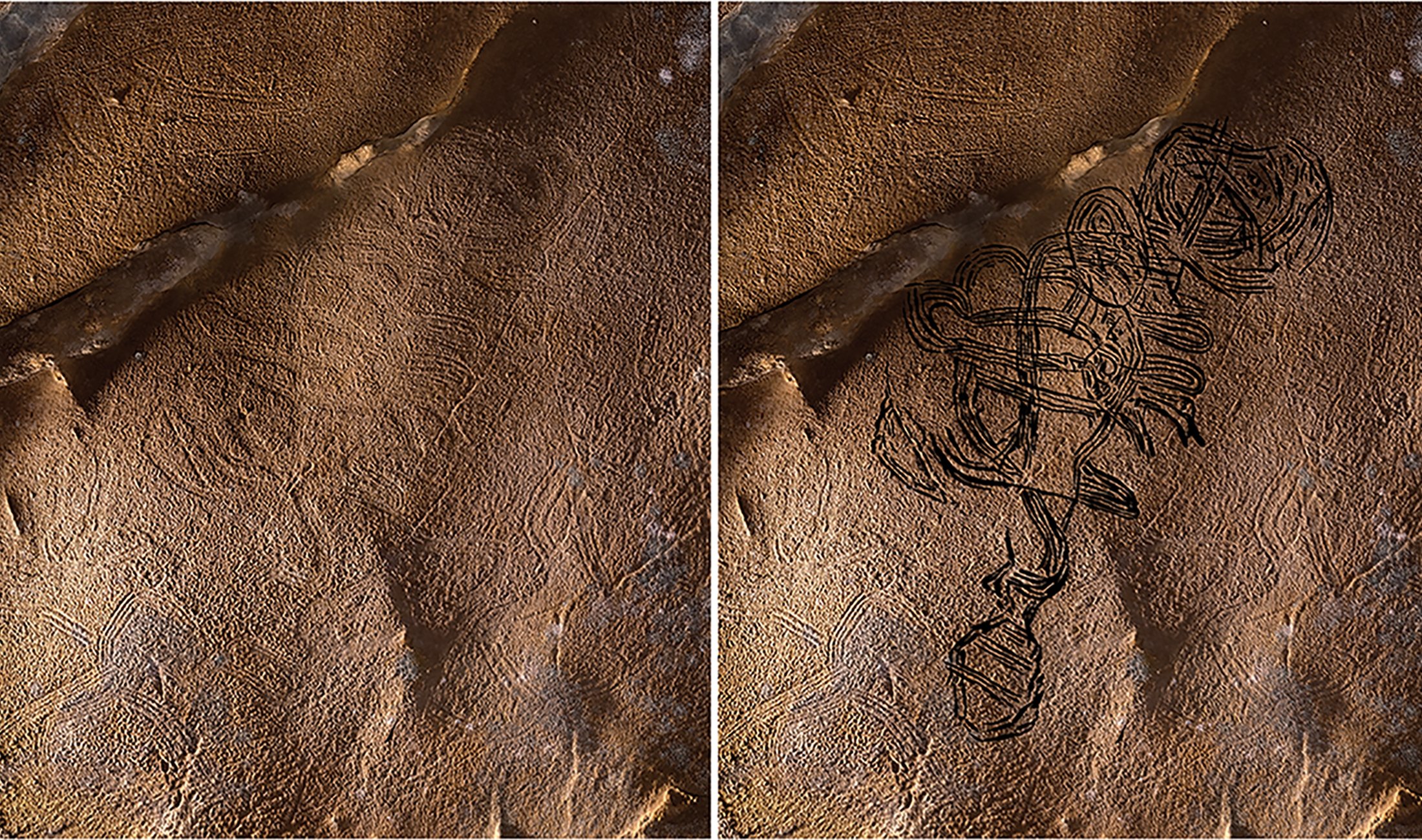 An enigmatic figure of swirling lines, with a round head at one end and a possible rattlesnake tail at the other, from an unnamed cave in Alabama, U.S., in combination with an artist's illustration. (Photo courtesy of Antiquity Journal)