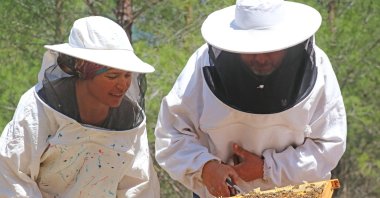 A beekeeper couple tends their bees, in Muğla, southwestern Turkey, May 10, 2022. (AA PHOTO)