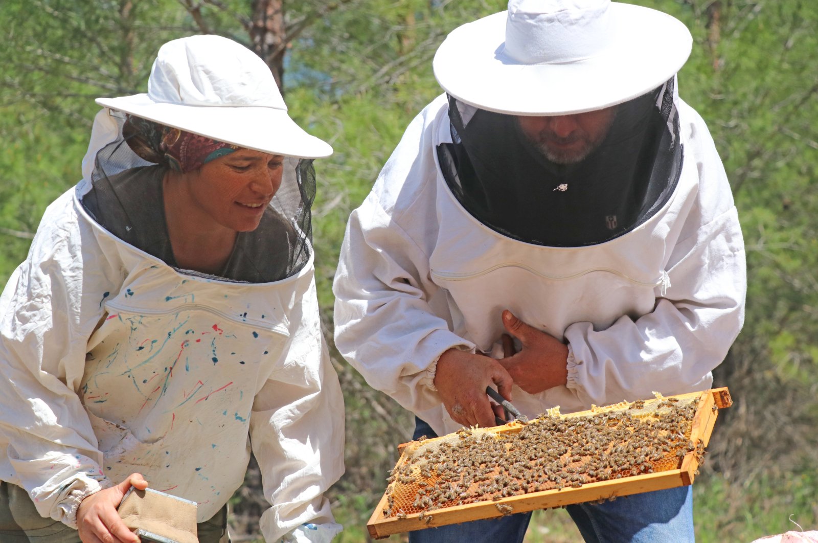 A beekeeper couple tends their bees, in Muğla, southwestern Turkey, May 10, 2022. (AA PHOTO)