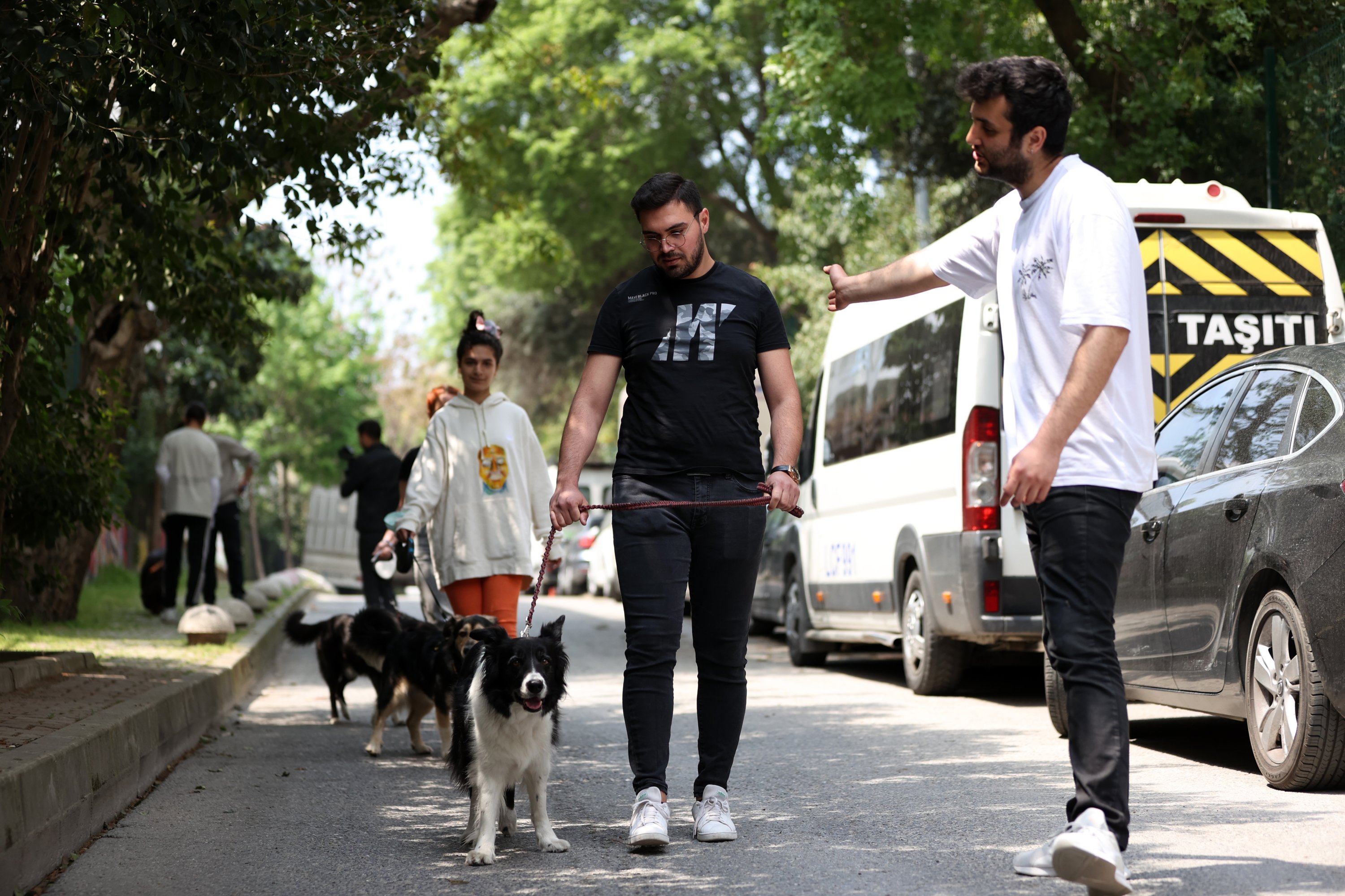 Seorang pelatih melatih pejalan kaki anjing, di Istanbul, Turki, 11 Mei 2022. (AA PHOTO)