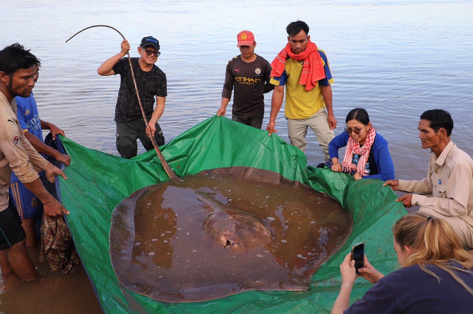 A giant female freshwater stingray was caught and released in the Mekong River in Stung Treng province, Cambodia, May 5, 2022. (Wonders of the Mekong via AFP)