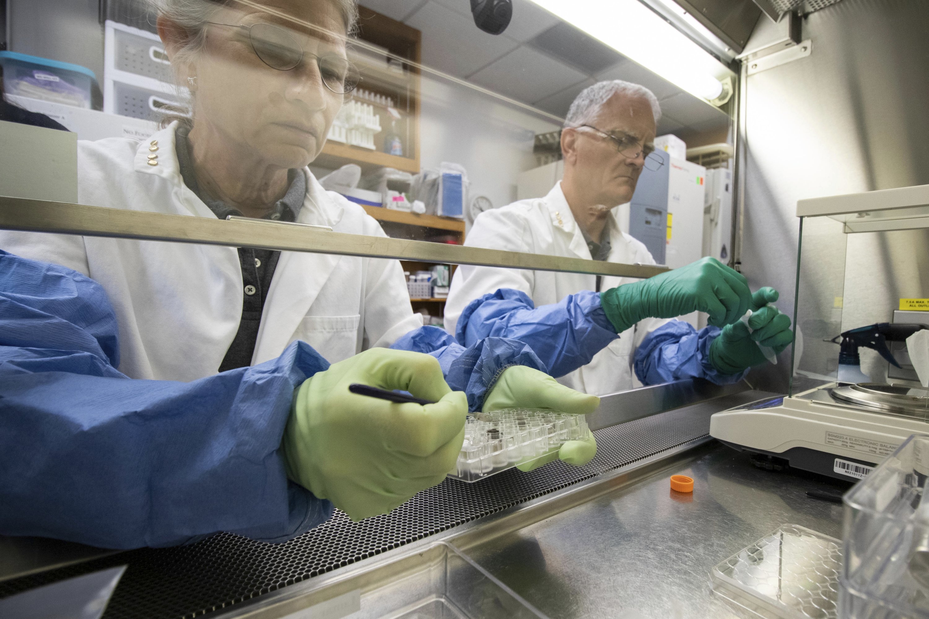 Dalam foto tahun 2021 yang disediakan oleh Universitas Florida, Institut Ilmu Pangan dan Pertanian, Anna-Lisa Pau (kiri) dan Rob Ferl, bekerja dengan tanah bulan di laboratorium mereka di Gainesville, Florida, AS (Tyler Jones/UF/IFAS via titik)