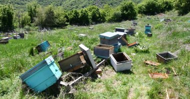 View of hives torn apart, overturned at the site of the project, in Tekirdağ, northwestern Turkey, May 12, 2022. (DHA PHOTO) 